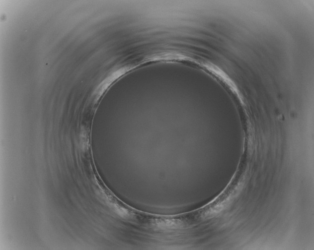 X0000063500945200601231434