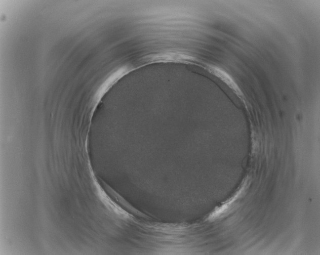 X0000063500946200601231434