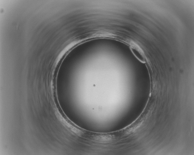 X0000063500947200601231434