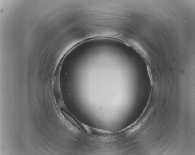 X0000063500948200601231434