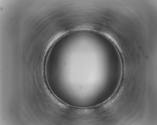 X0000063500949200601231434