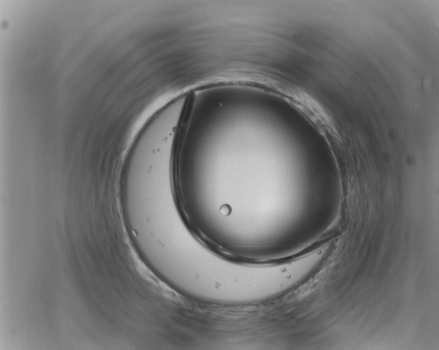 X0000063500950200601231434