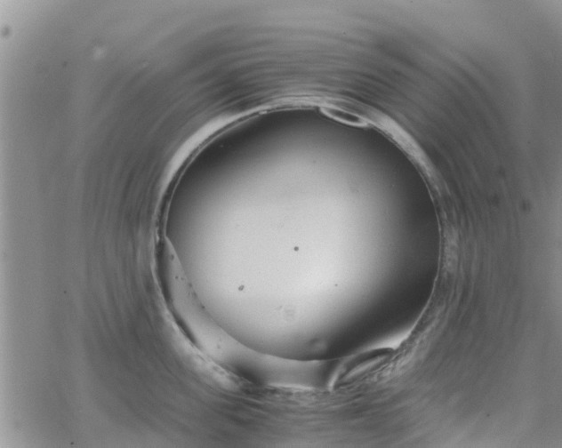 X0000063500955200601231434