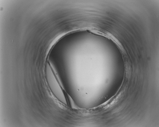 X0000063500956200601231434