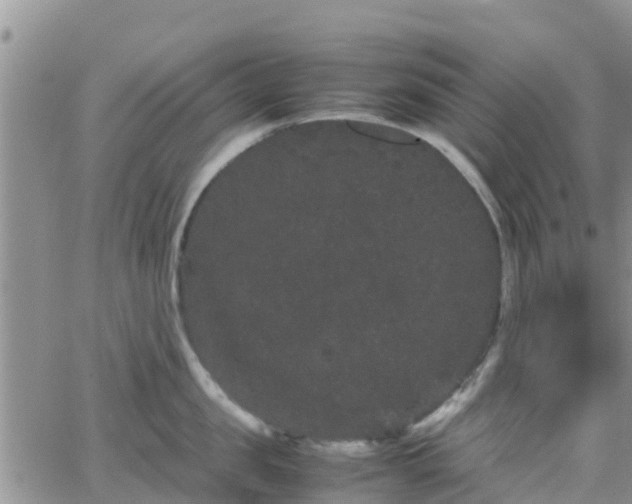 X0000063500957200601231434