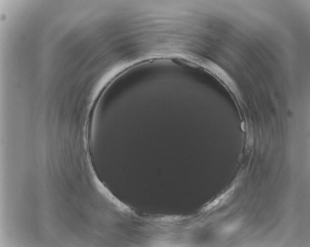 X0000063500958200601231434