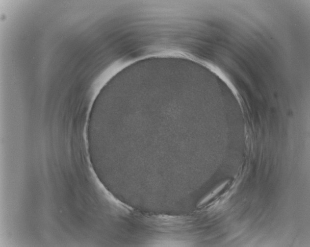 X0000063500959200601231434