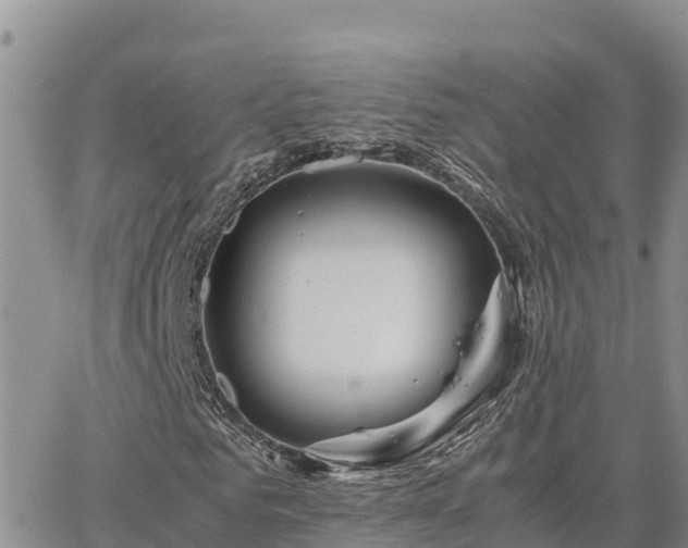 X0000063500961200601231433