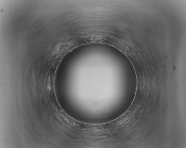 X0000063500962200601231433