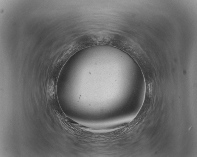 X0000063500963200601231433