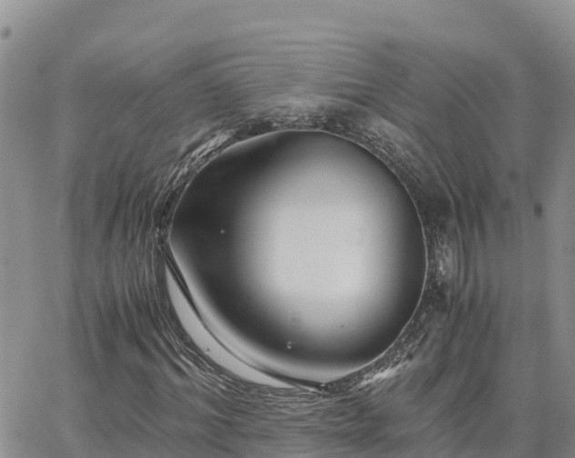 X0000063500964200601231433