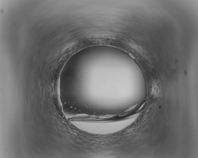 X0000063500965200601231433