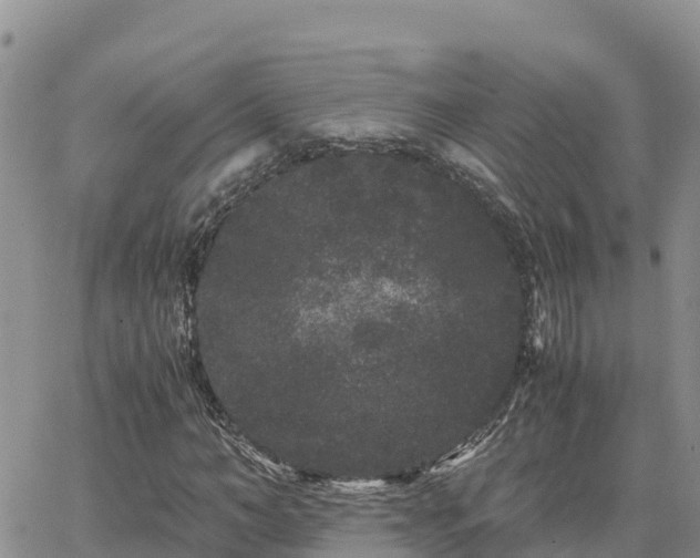 X0000063500966200601231433