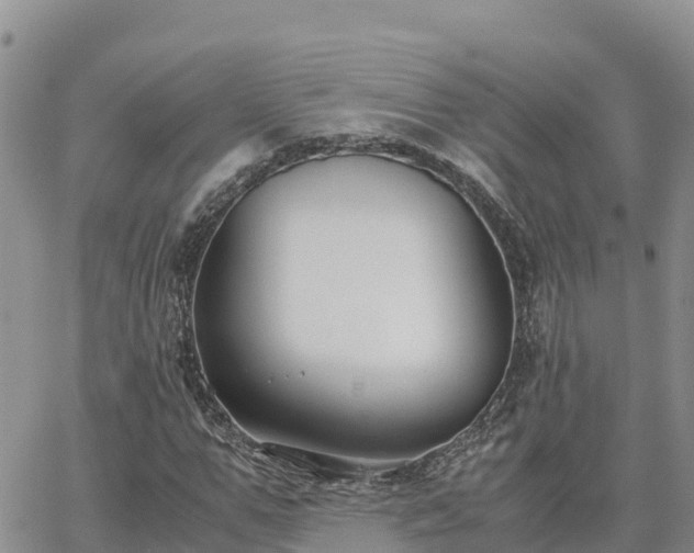 X0000063500967200601231433