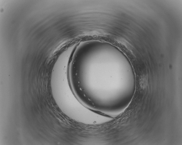 X0000063500968200601231433