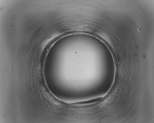 X0000063500971200601231433