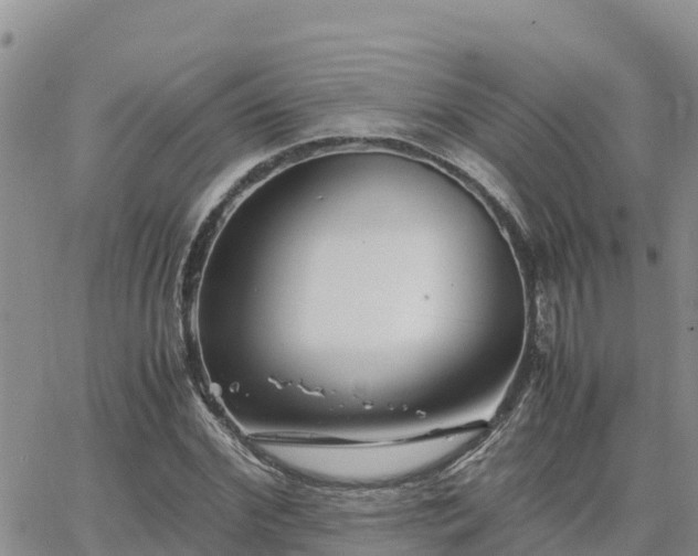 X0000063500972200601231433