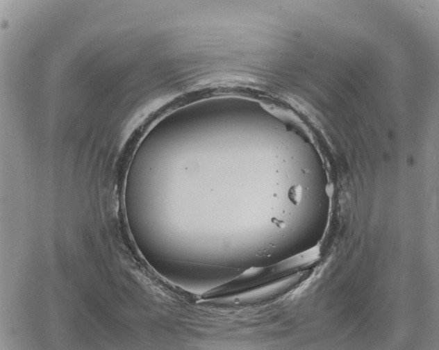 X0000063500973200601231433