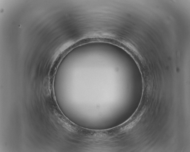 X0000063500974200601231433