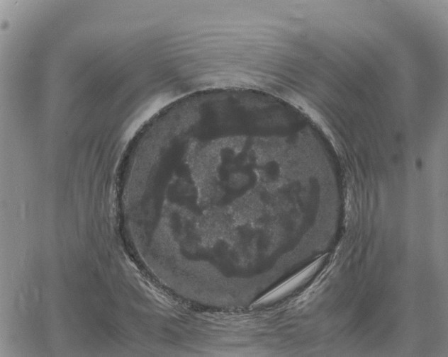 X0000063500975200601231433