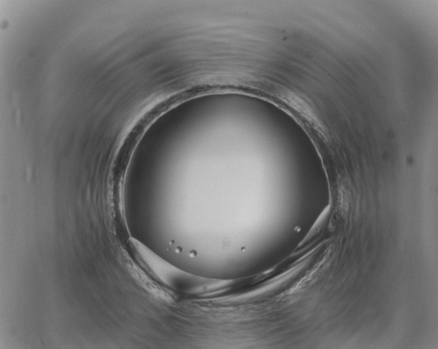 X0000063500976200601231433