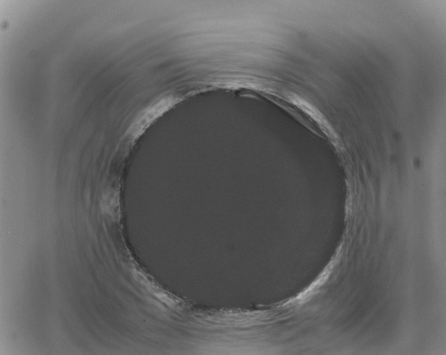 X0000063500977200601231433