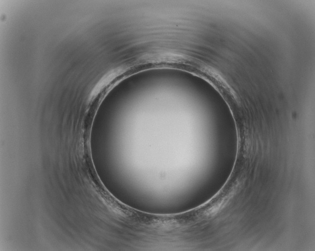 X0000063500978200601231433