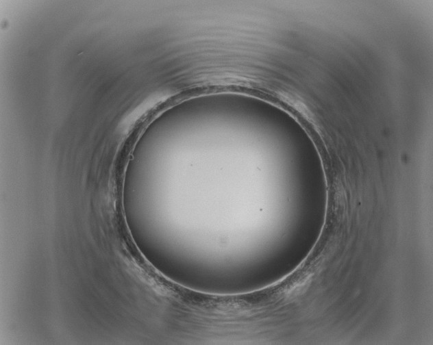 X0000063500979200601231433