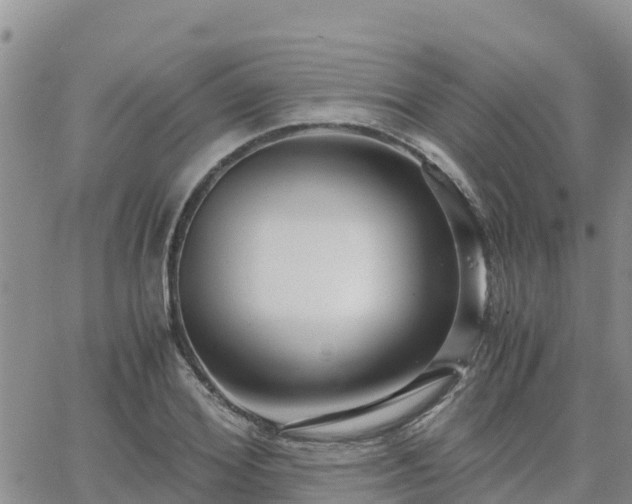 X0000063500980200601231433