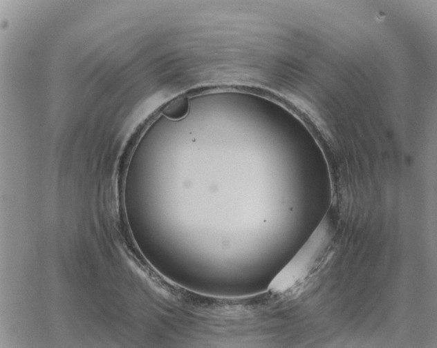 X0000063500982200601231433