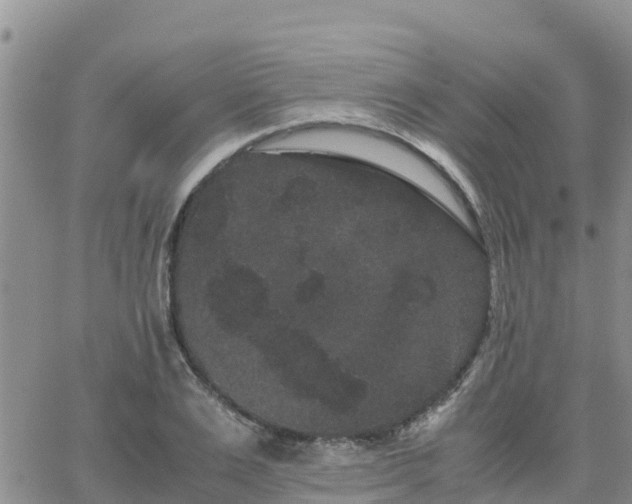 X0000063500983200601231433