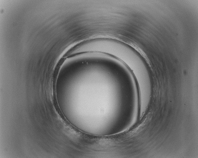 X0000063500984200601231433