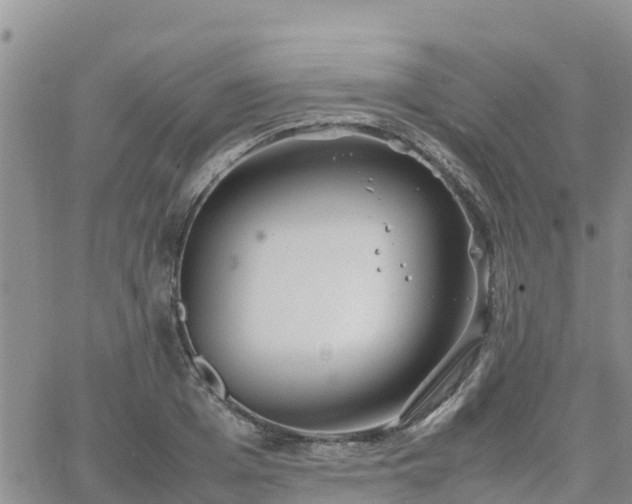 X0000063500985200601231433