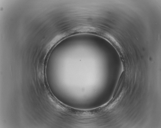 X0000063500986200601231433