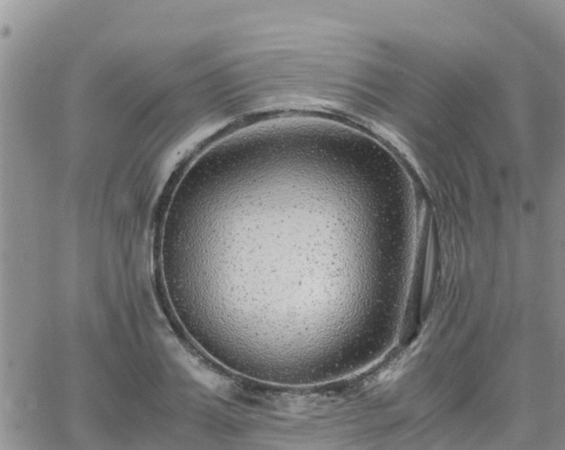 X0000063500987200601231433