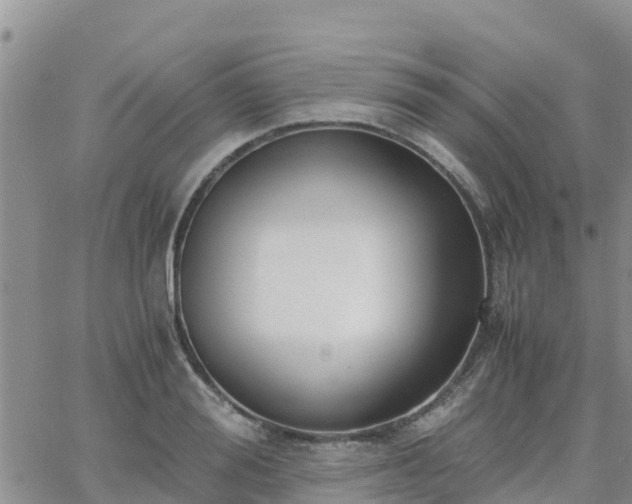 X0000063500988200601231433