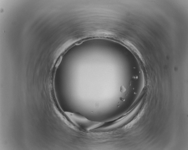 X0000063500989200601231433