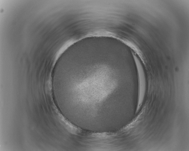 X0000063500990200601231433