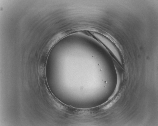 X0000063500993200601231432