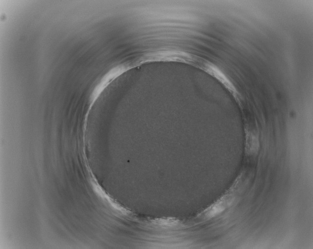 X0000063500994200601231432