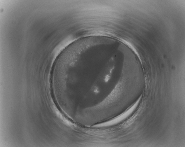 X0000063500995200601231432