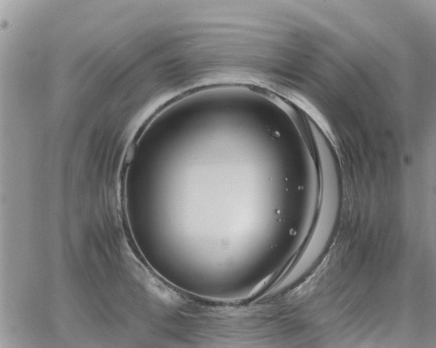 X0000063500996200601231432