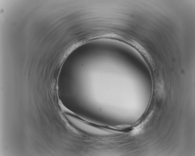 X0000063501001200601231432