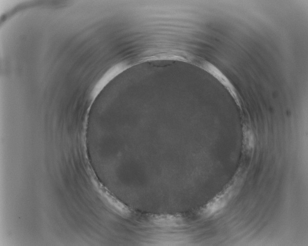 X0000063501002200601231432