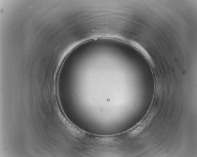 X0000063501004200601231432