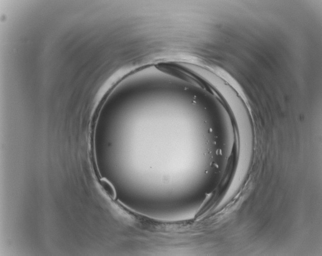 X0000063501005200601231432