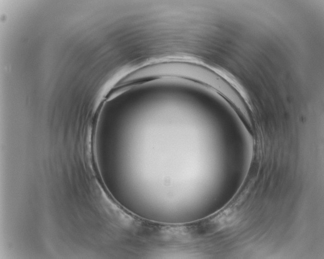 X0000063501006200601231432