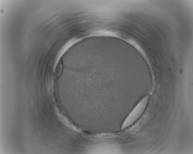 X0000063501008200601231432