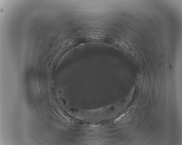 X0000063501009200601231431