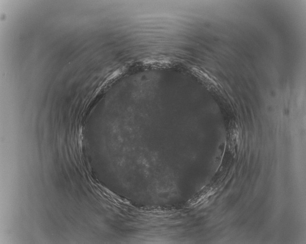 X0000063501010200601231431